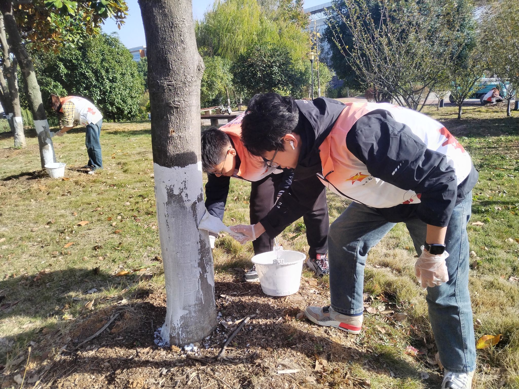 伟德源自英国始于1946