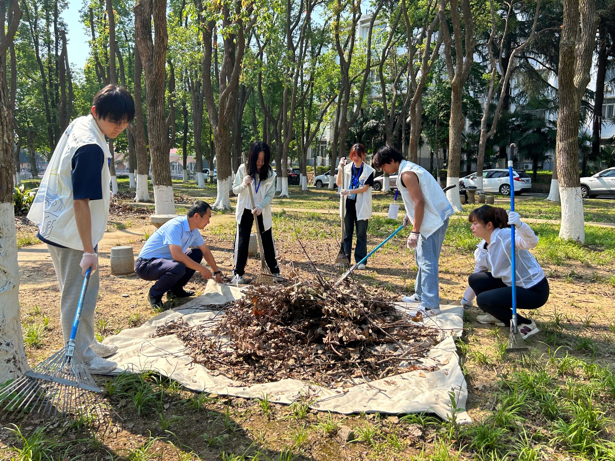 伟德源自英国始于1946